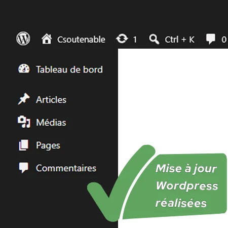 maintenance-wordpress_csoutenable